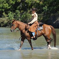 Cynthia Kilburn Photo 12