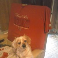 Debra Boyer Photo 12