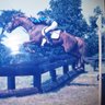 Susan Truitt Photo 20
