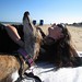 Kelly Dewey Photo 18