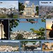 Francisco Vences Photo 10