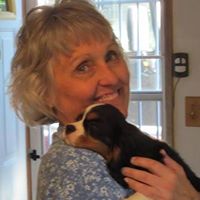 Vicki Magee Photo 15