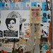 Julia Goodman Photo 12
