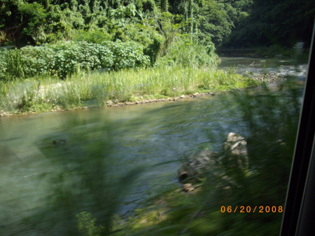 Tamara Howe Photo 13