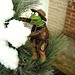 Kermit Jones Photo 14