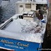 Carol Allison Photo 4