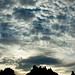 Sandy Searle Photo 12
