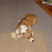 Kirby Lay Photo 4