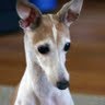 Melissa Townsend Photo 47