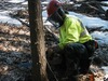 Michael Willard Photo 9