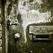 Dale Nelson Photo 32