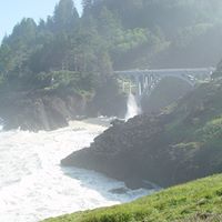Kimberly Colvin Photo 11