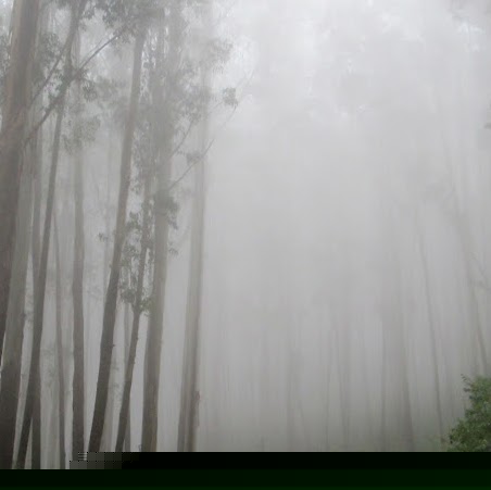 Sivakumar Palanisamy Photo 10