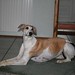 Nicole Salomon Photo 9