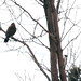Regina Wilson Photo 12