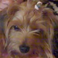 Tia Curry Photo 3