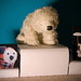 Shaun Long Photo 14