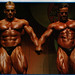 Andy Porter Photo 9