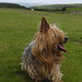 Ada Dykes Photo 3