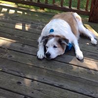 Nancy Dutton Photo 18