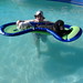 Fred Pool Photo 15