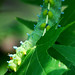 Sharon Cox Photo 24