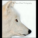 Janet Stocks Photo 13