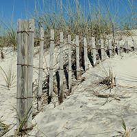 Lisa Rupe Photo 22