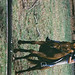 Angela Olney Photo 7