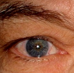 Robert Ralston Photo 24