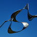 Roger Barr Photo 35