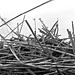 Jan Long Photo 9