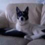 Sandra Franks Photo 40
