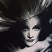Marlene Webster Photo 15