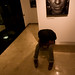 Robert Palumbo Photo 14