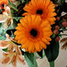 Theresa Gerber Photo 8