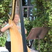 Jason Scholz Photo 25