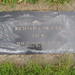 Richard Skaggs Photo 30