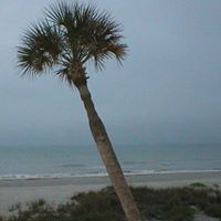 Denise Schultz Photo 38