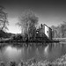 Mark Chasse Photo 18