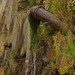 Elizabeth Waters Photo 14