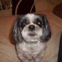 Debbie Beard Photo 19