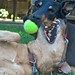Beverly Sanders Photo 12