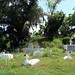 Jefferson Jean Photo 5