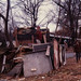 Charlie Proctor Photo 14