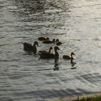 Debra Peiffer Photo 1