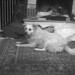 Donald Qualls Photo 17