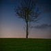 Ray Loveless Photo 6