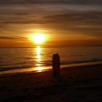 Brenda Ricci Photo 21