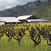 Debra Stark Photo 14